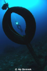 While my buddy and I were diving, we saw this tire used a... by Alp Baranok 